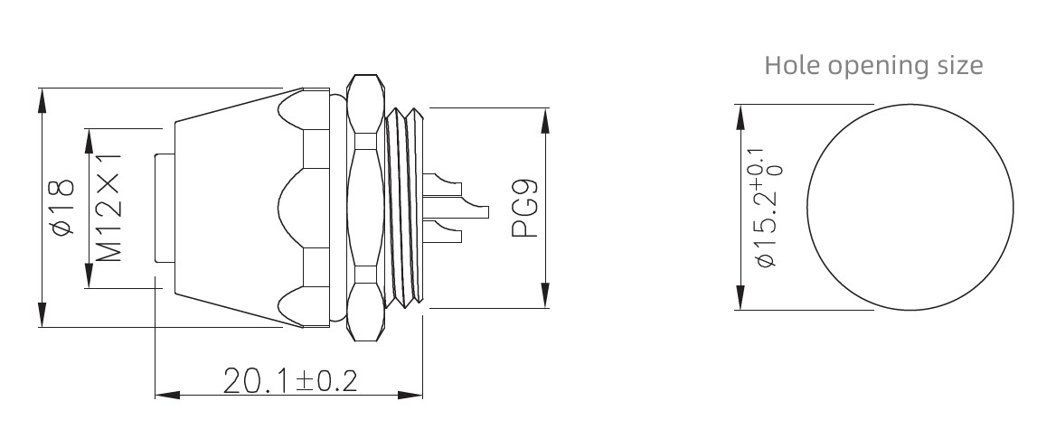 M12-size