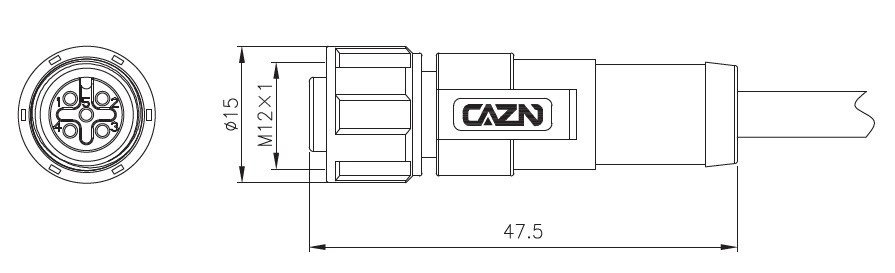M12-size